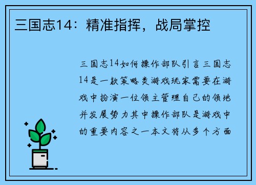 三国志14：精准指挥，战局掌控